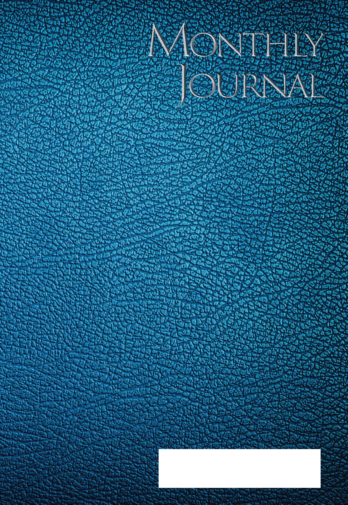 MONTHLY EFFECTIVITY JOURNAL - BLUE